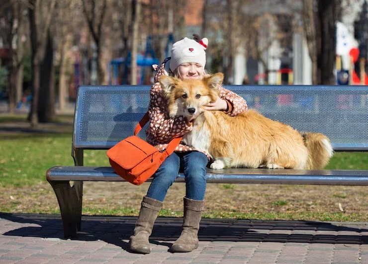 Expert pet insurance for travel services ensuring safe pet journeys