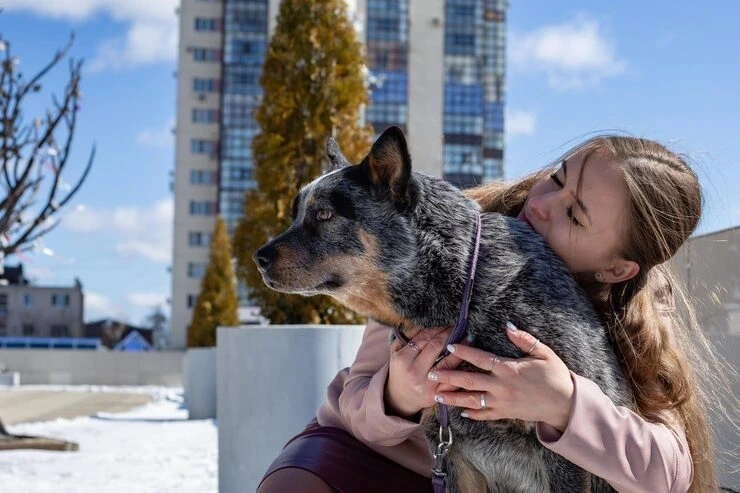 Trusted pet travel consultation and planning support