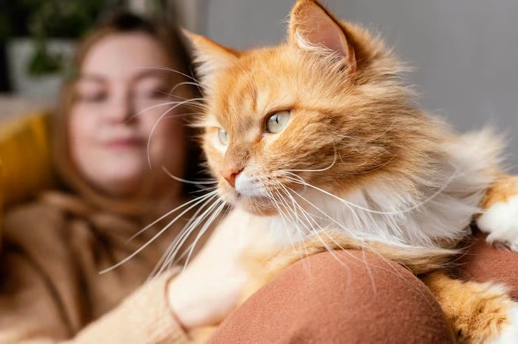 Trusted pre travel health checkup support for pet journeys