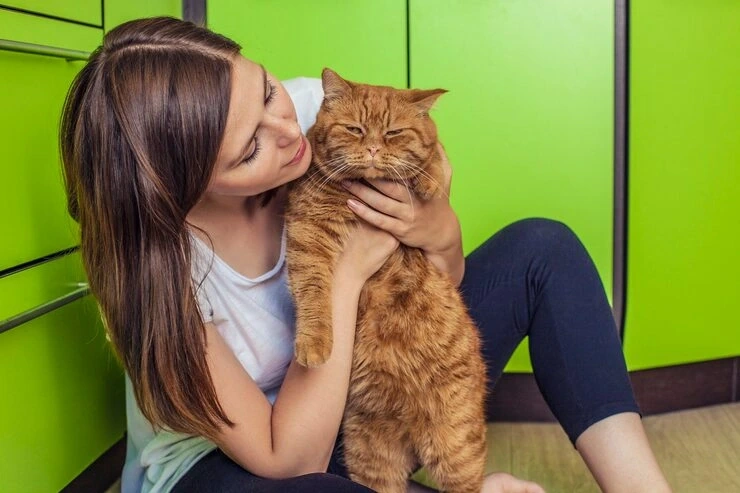 Expert settling in ireland service support for new arrivals