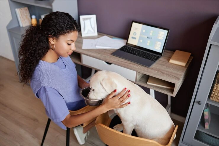 Diplomatic Pet Relocation Services from the USA to Macedonia