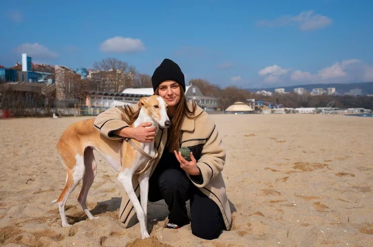 Expert emergency support for usa to france dog transport