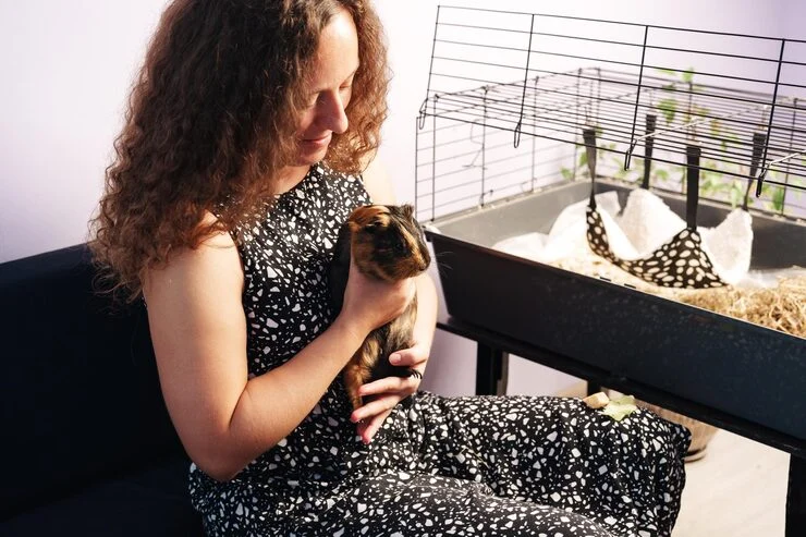 Exotic Pet Relocation Services from the USA to Macedonia