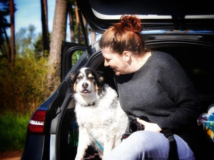 Trusted pet health preparation management for usa to france dog transport