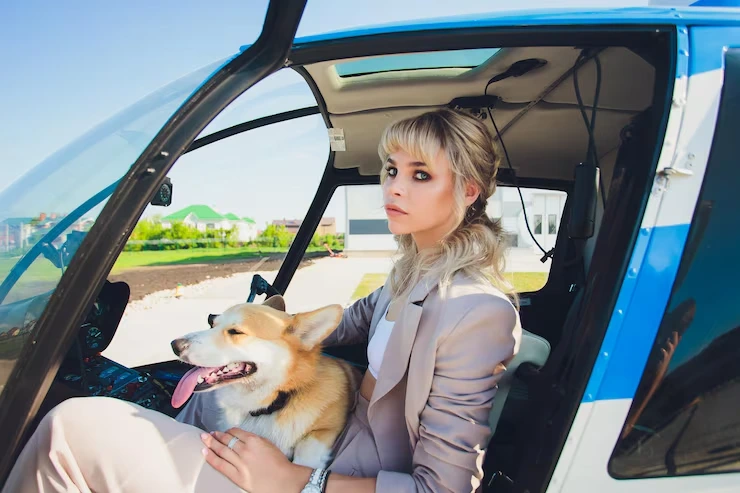 Pet Transport Services from the USA to Macedonia