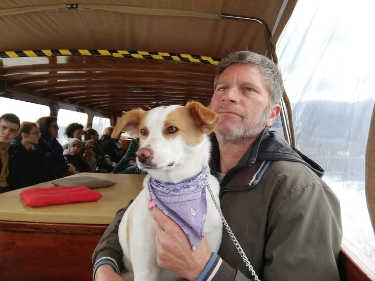Trusted post-arrival care and delivery solutions for dog transport