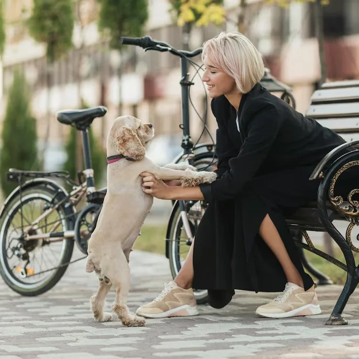 Expert pre-travel consultation support for usa to france dog transport