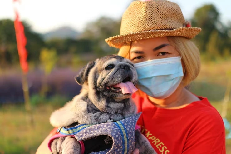 Trusted quarantine and country-specific requirements solutions handling