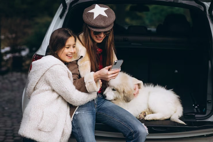 USA to Spain Pet Transport Services