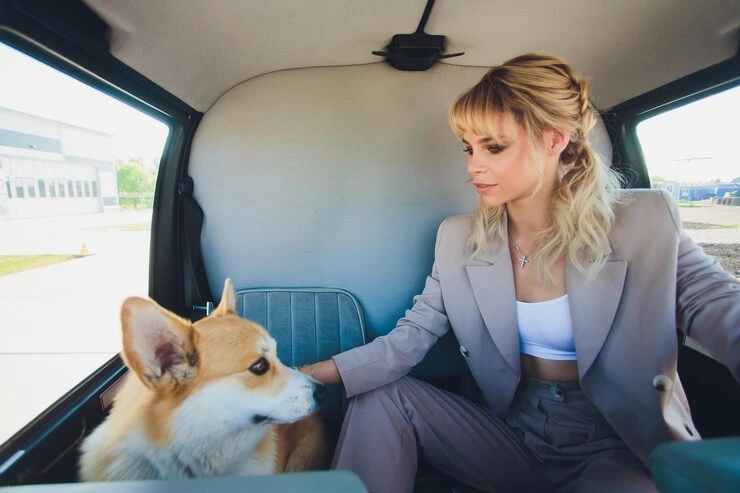 Private Jet Pet Transport From USA to UK