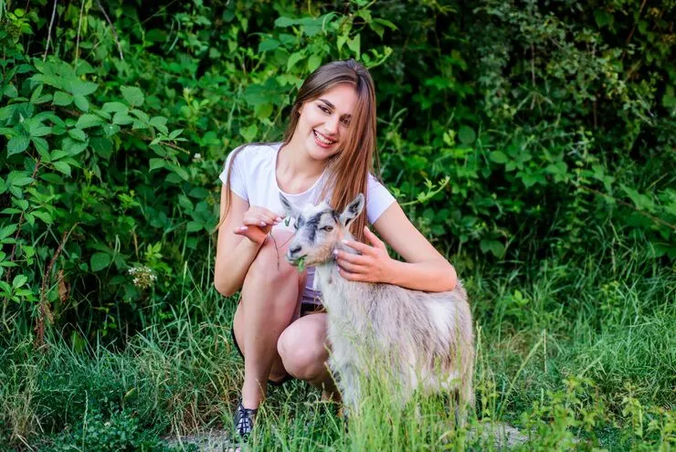 USA to France Exotic Pet Relocation Services