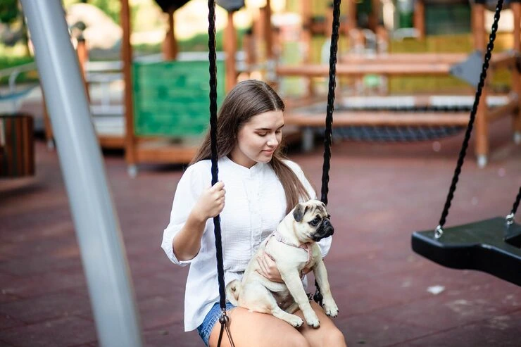 USA to Netherlands Private Jet Pet Transport