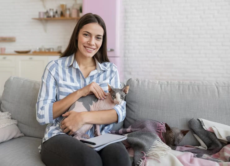 USA to UK Cat Relocation Services