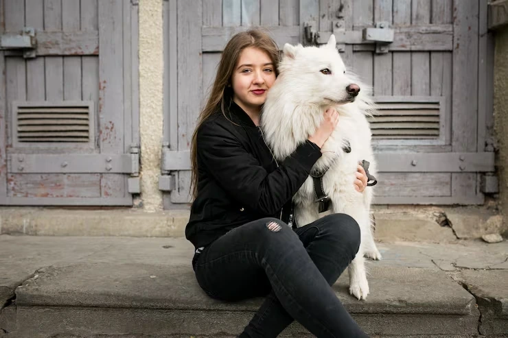 USA To Europe Pet Shipping Expert Services