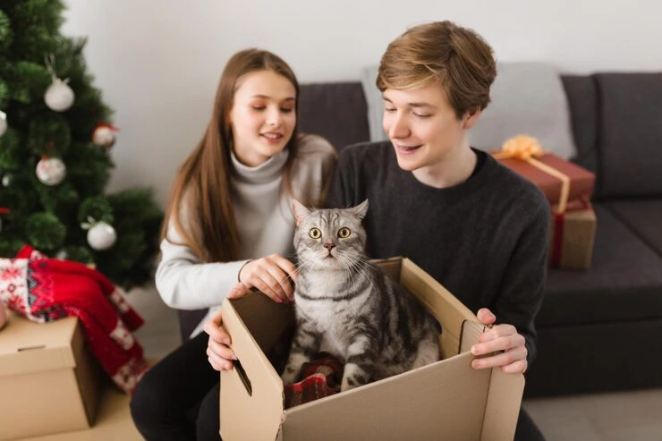 Cat Relocation Services From the USA to Bulgaria