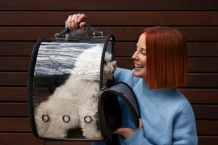 Cat Relocation Services From the USA to Estonia