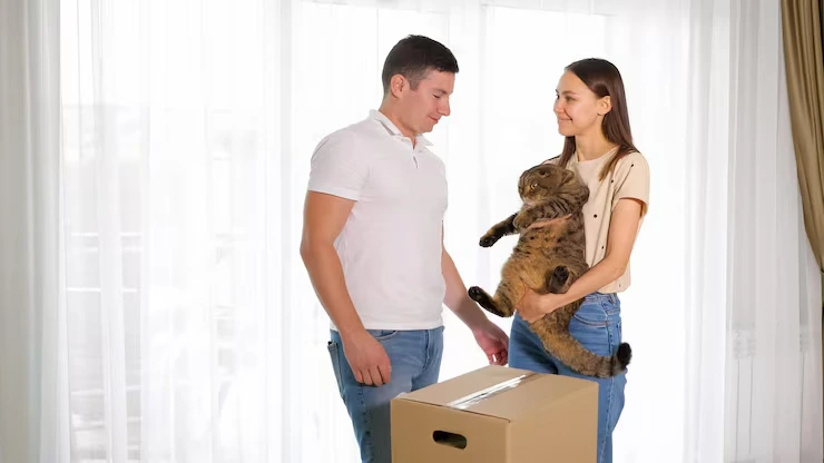 Cat Relocation Services From the USA to Estonia