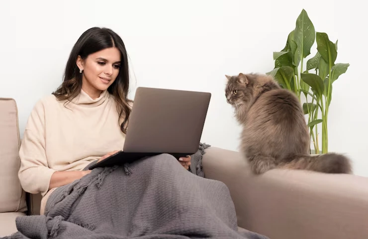 Cat Relocation Services From the USA to Latvia