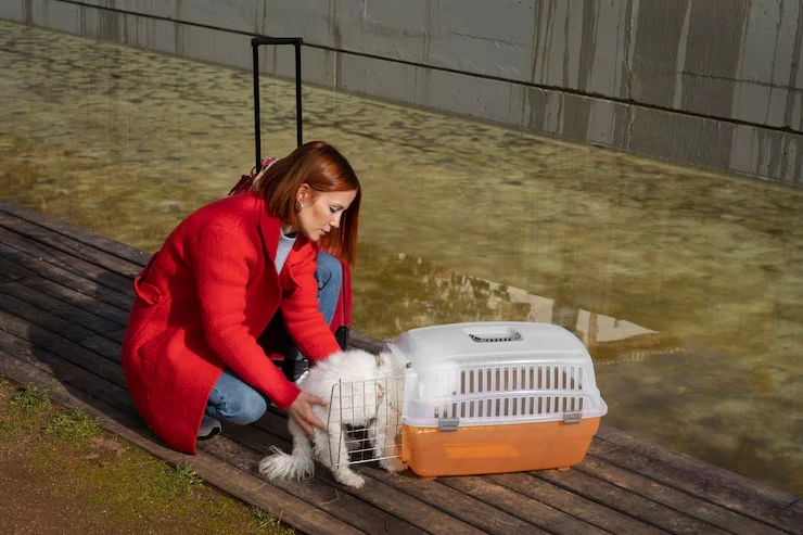 Cat Relocation Services From the USA to Liechtenstein