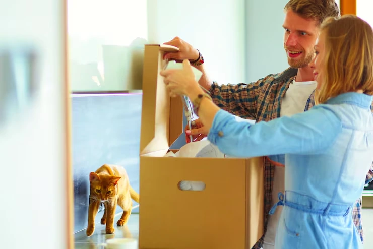 Cat Relocation Services From the USA to Lithuania