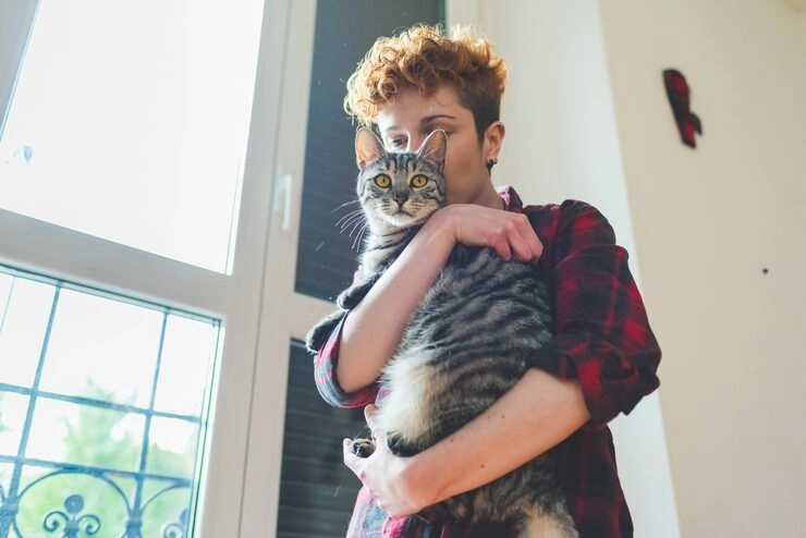 Cat Relocation Services From the USA to San Marino ​