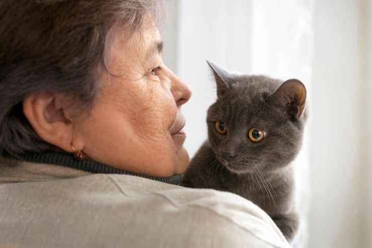 Cat Relocation Services From the USA to San Marino