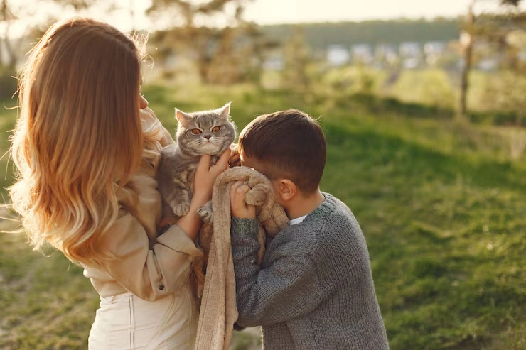 Cat Relocation Services From the USA to Slovenia ​