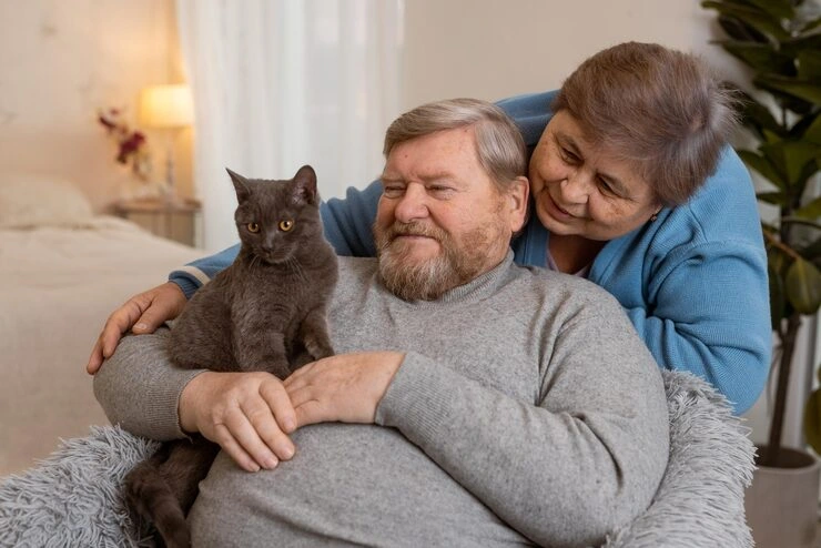 Cat Relocation Services From the USA to Slovenia