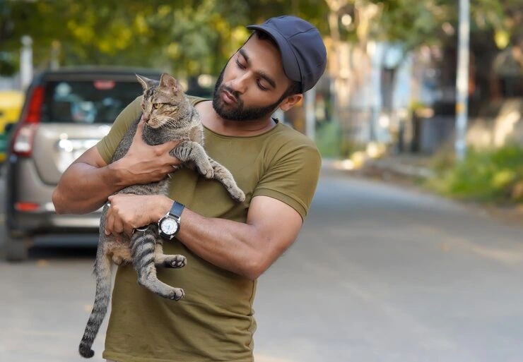 Cat Relocation Services From the USA to Vatican City