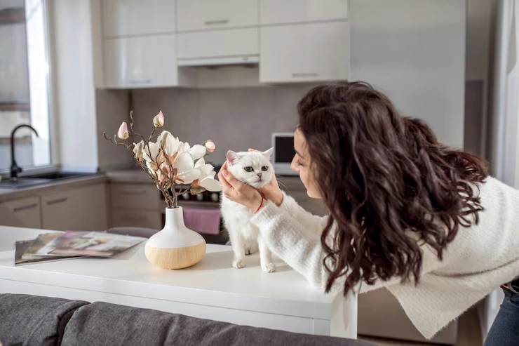 Cat Relocation Services From the USA to Vatican City
