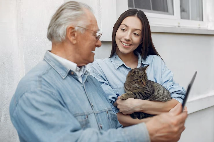 Cat Relocation Services From the USA to the Czech Republic