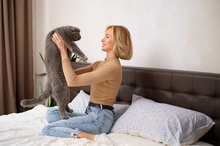 Cat Relocation Services From the USA to Hungary