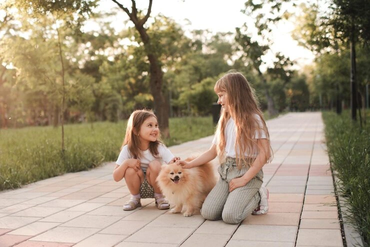 Diplomatic Pet Relocation Services From the USA to Hungary