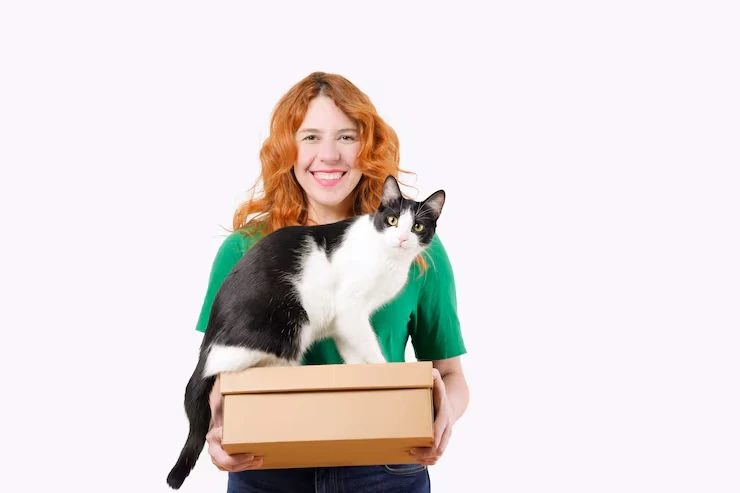 Door-to-Door Cat Relocation Management