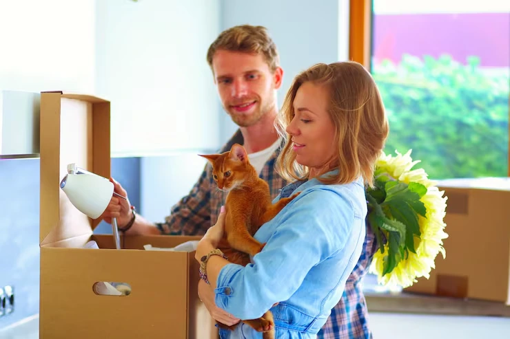 Door-to-Door Cat Relocation Services