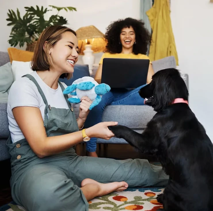 Executing private jet pet transport