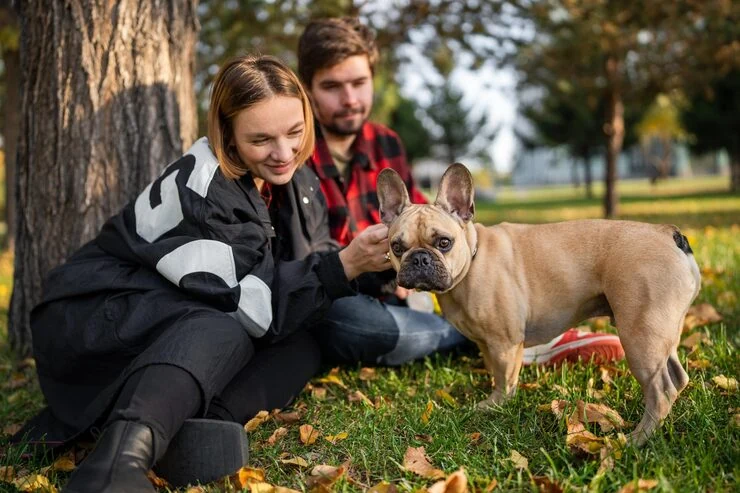 Exotic Pet Relocation Services From the USA to Malta