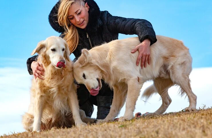 Exotic Pet Risk Assessment and Legal Review