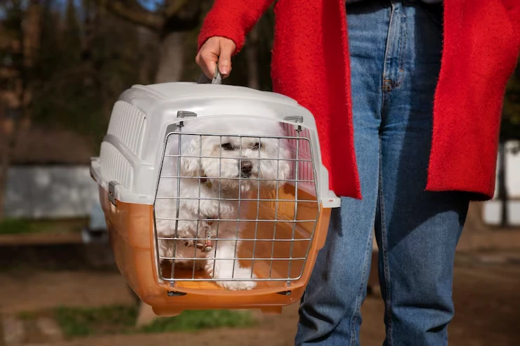 IATA-Compliant Crate Preparation and Approval