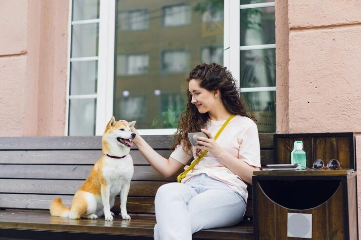 In-Cabin Pet Travel Environment
