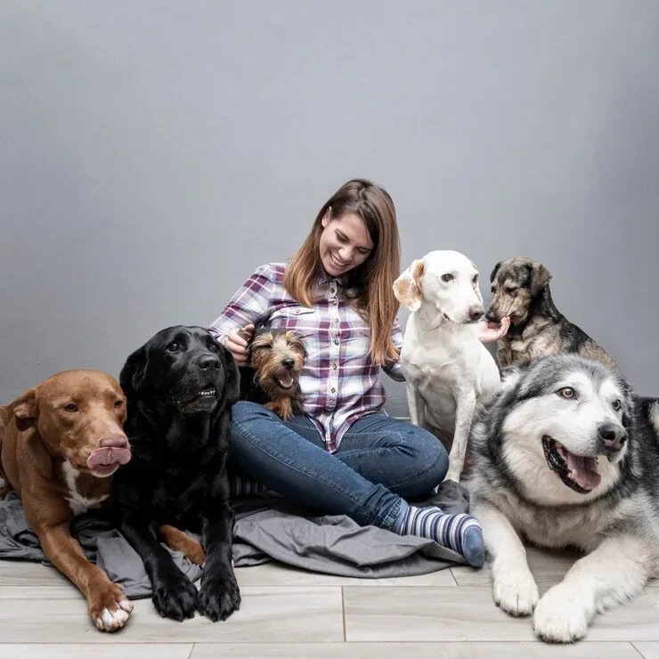 In-Cabin Pet Travel Experience on Private Jets