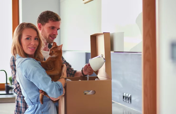Cat Relocation Services From the USA to Croatia