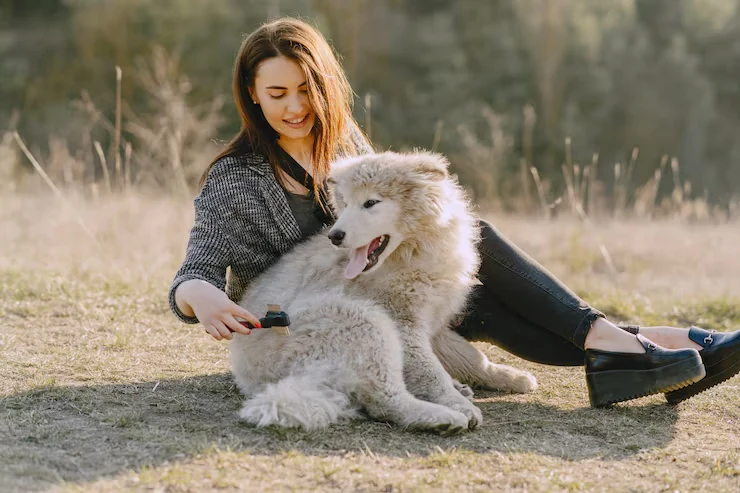 Malta Veterinary Authority Coordination​