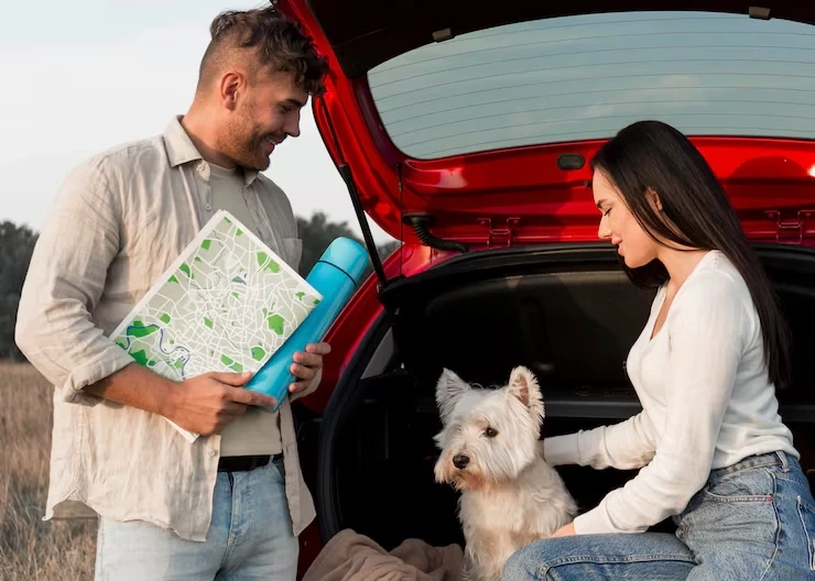 Multi-Pet and Complex Relocation Planning