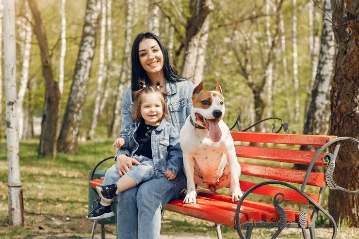 Multi-Pet and Large Breed Transport Planning
