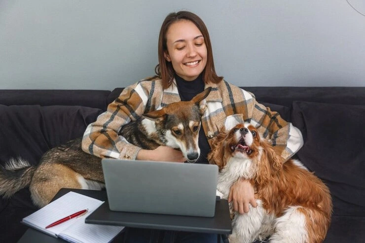 Multi-Pet and Large Breed Transport
