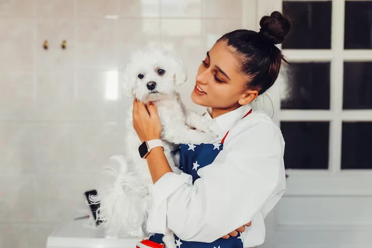 Our Services for pets