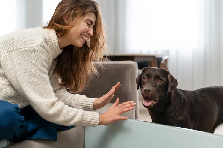 Our Services forrpets