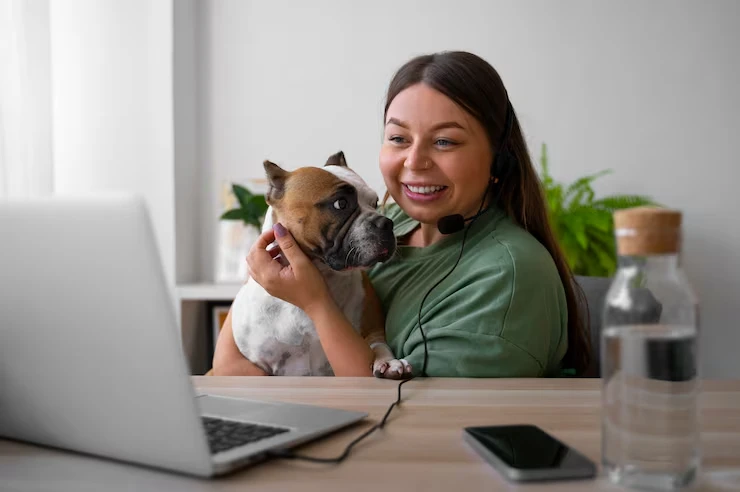 Our Services of pets