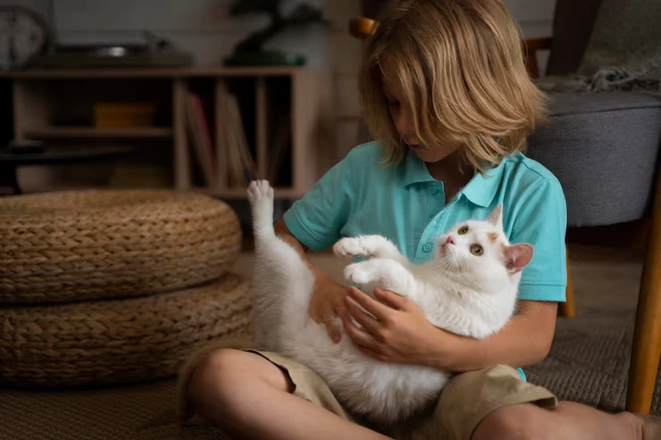 Over 90% of EU pet entry refusals are linked to documentation or timing errors